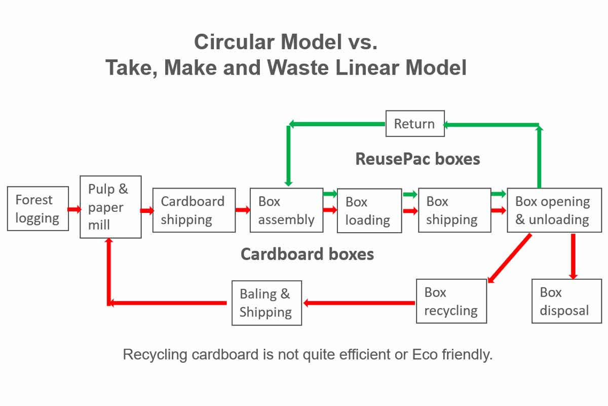 Reusable box circular model vs cardboard box linear model.