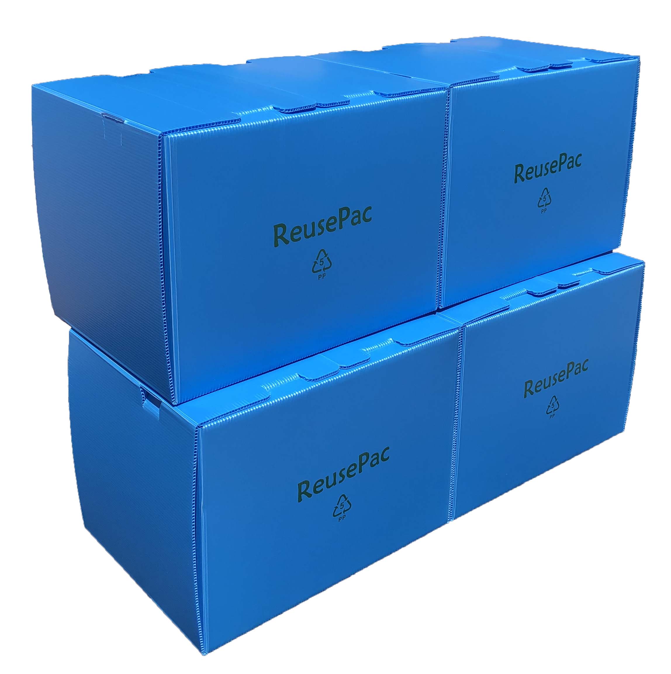 ReusePac Corrugated Plastic Box Moving Storage, Heavy Duty, Tape Free,  Foldable, for Personal, Home, Business Outdoors & Indoors (16x12x8 in, 6  Pack