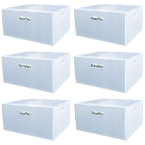 6 pack 20x16x10 inch X-Large reusable boxes, near white moving & storage